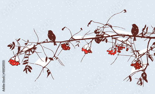Birds on a rowan branch in winter