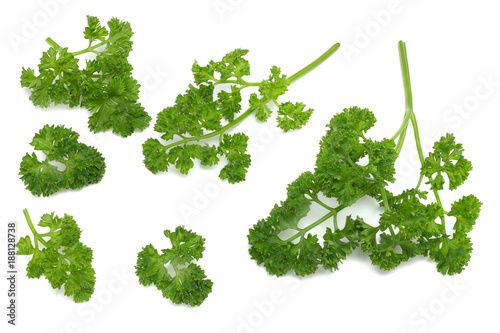 parsley isolated on a white background top view