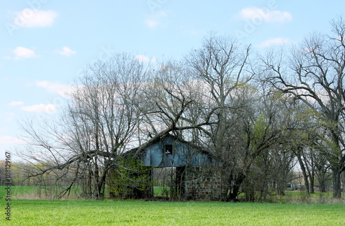 Abandoned Barn in Early Spring Grown Over With Trees © Susan Vineyard 