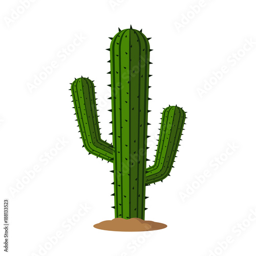 Cactus. Vector illustration. Flat design.