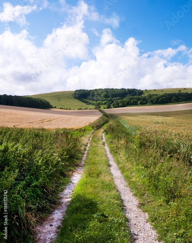Soth Downs, East Sussex, UK, a country lane track leading into rolling sussex field