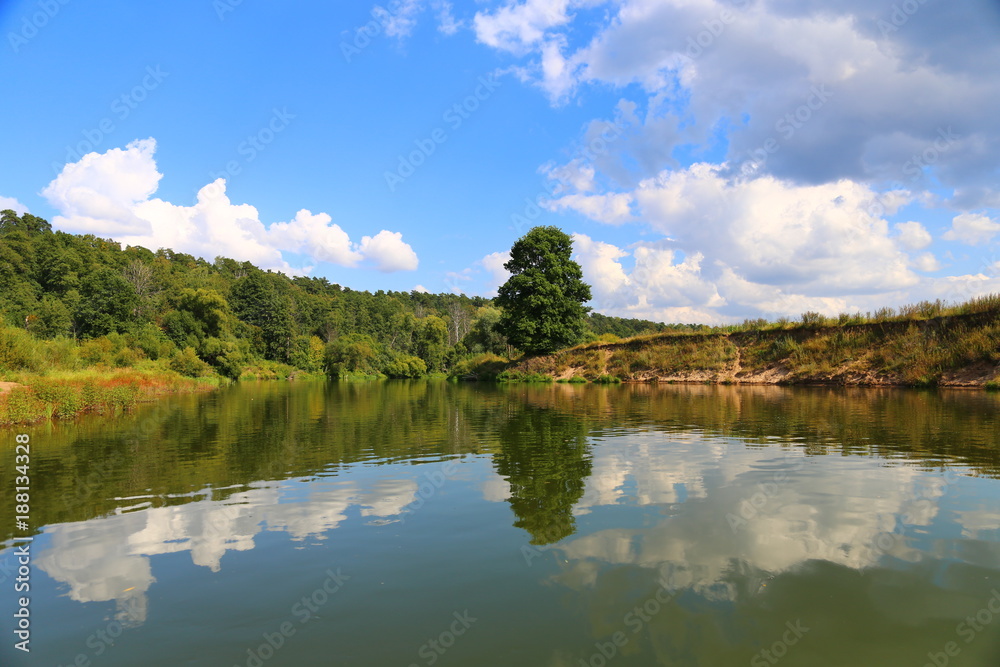 beautiful summer landscape.The tree and the blue sky are reflected in the water beautiful summer landscape.The tree and the blue sky are reflected in the water