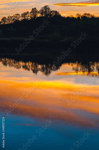 tree silhouettes reflected in the mirror during sunset