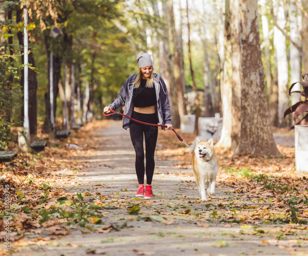 Fototapeta premium Woman running and walking in beautiful park with akita dog.