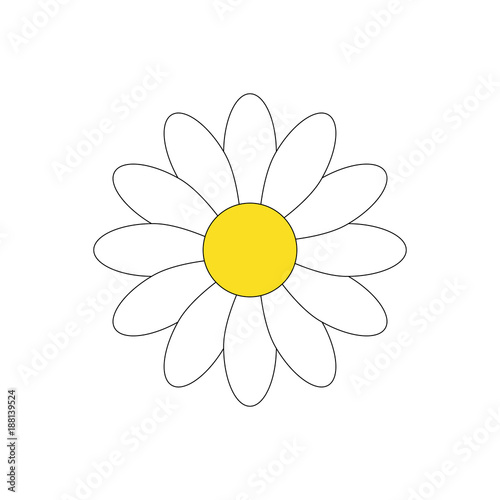 Fototapeta Naklejka Na Ścianę i Meble -  Simple white daisy flower vector illustration graphic, isolated on white background.