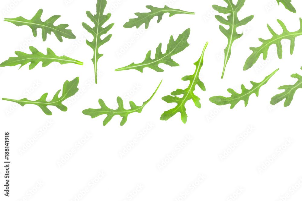rucola or arugula leaf isolated on white background with copy space for your text. . Top view. Flat lay pattern rucola or arugula leaf isolated on white background with copy space for your text. . Top view. Flat lay pattern