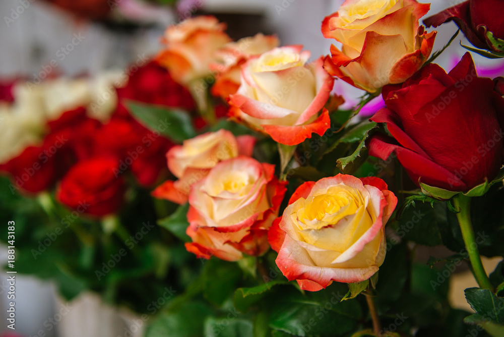 Fresh Cut Flowers And Arrangements In Florist Shop, Tracking Shot Fresh Cut Flowers And Arrangements In Florist Shop, Tracking Shot