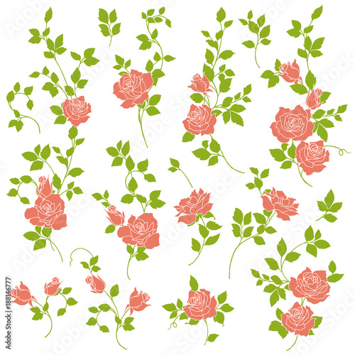 バラのイラスト素材