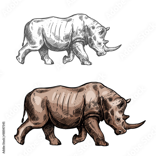 Rhinoceros vector sketch wild animal isolated icon