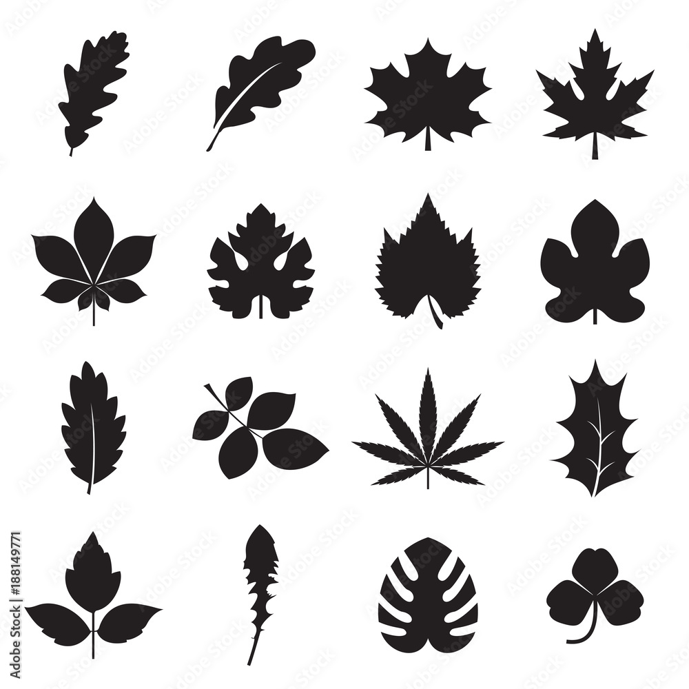 Leaf icons. 16 black symbols of leaves, such plants as oak, maple