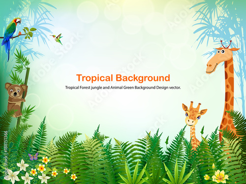 Jungle or Zoo Themed Animal Background