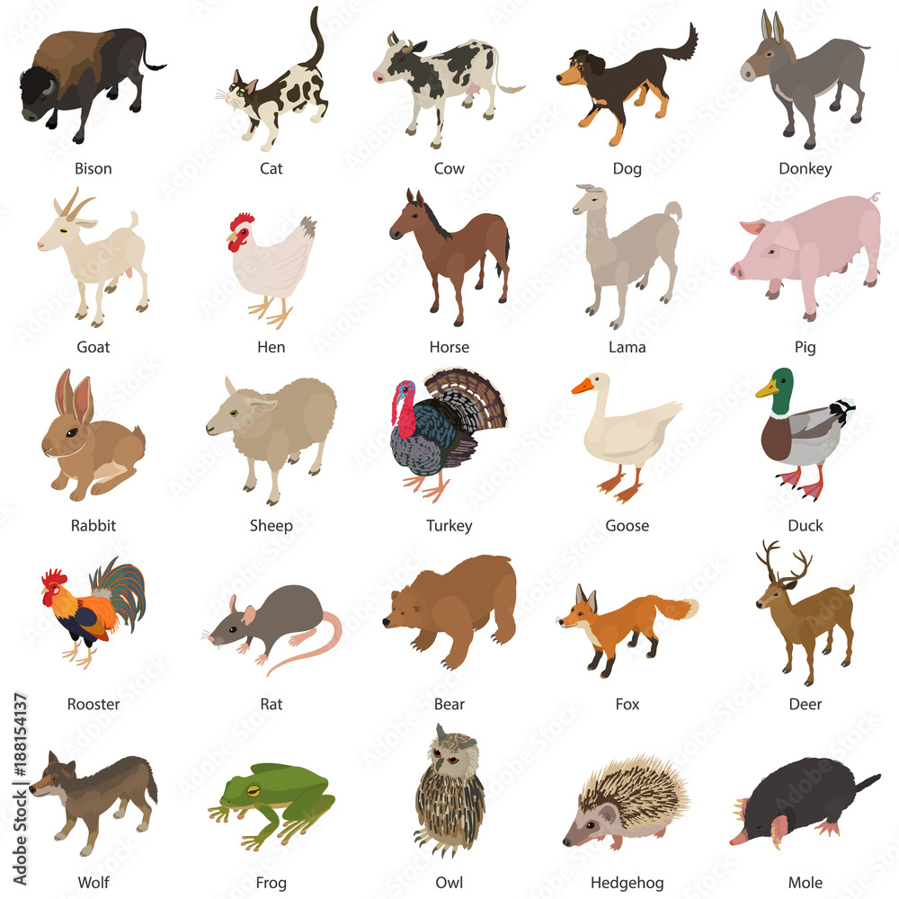 Animals collection icons set, isometric style Animals collection icons set, isometric style