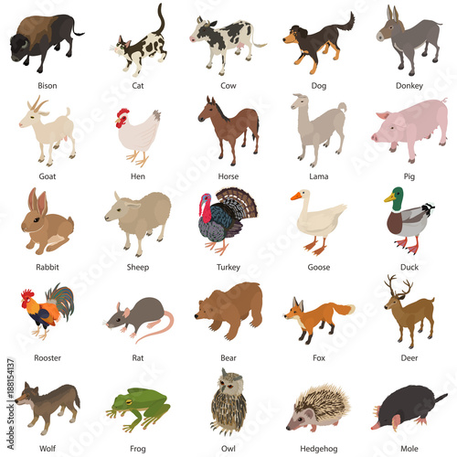 Animals collection icons set, isometric style