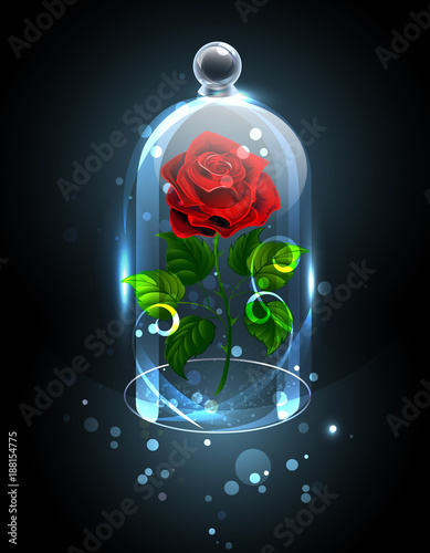 Fotografie, Obraz Red rose under the crystal dome