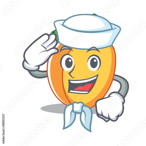 Sailor apricot character cartoon style