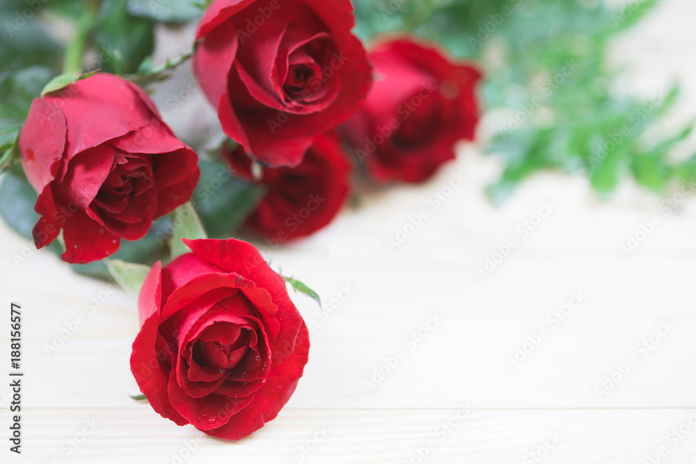 Red rose on wood background with copy space. Red rose on wood background with copy space.