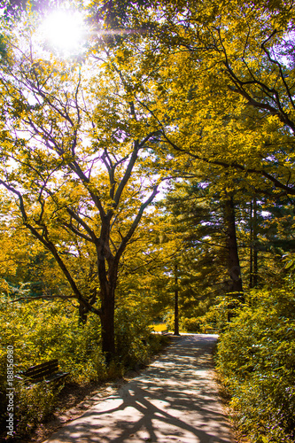nature
