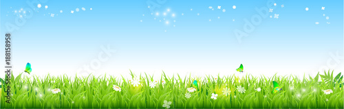 Naklejka Zielonej trawy niebieskie niebo Naturalny tło