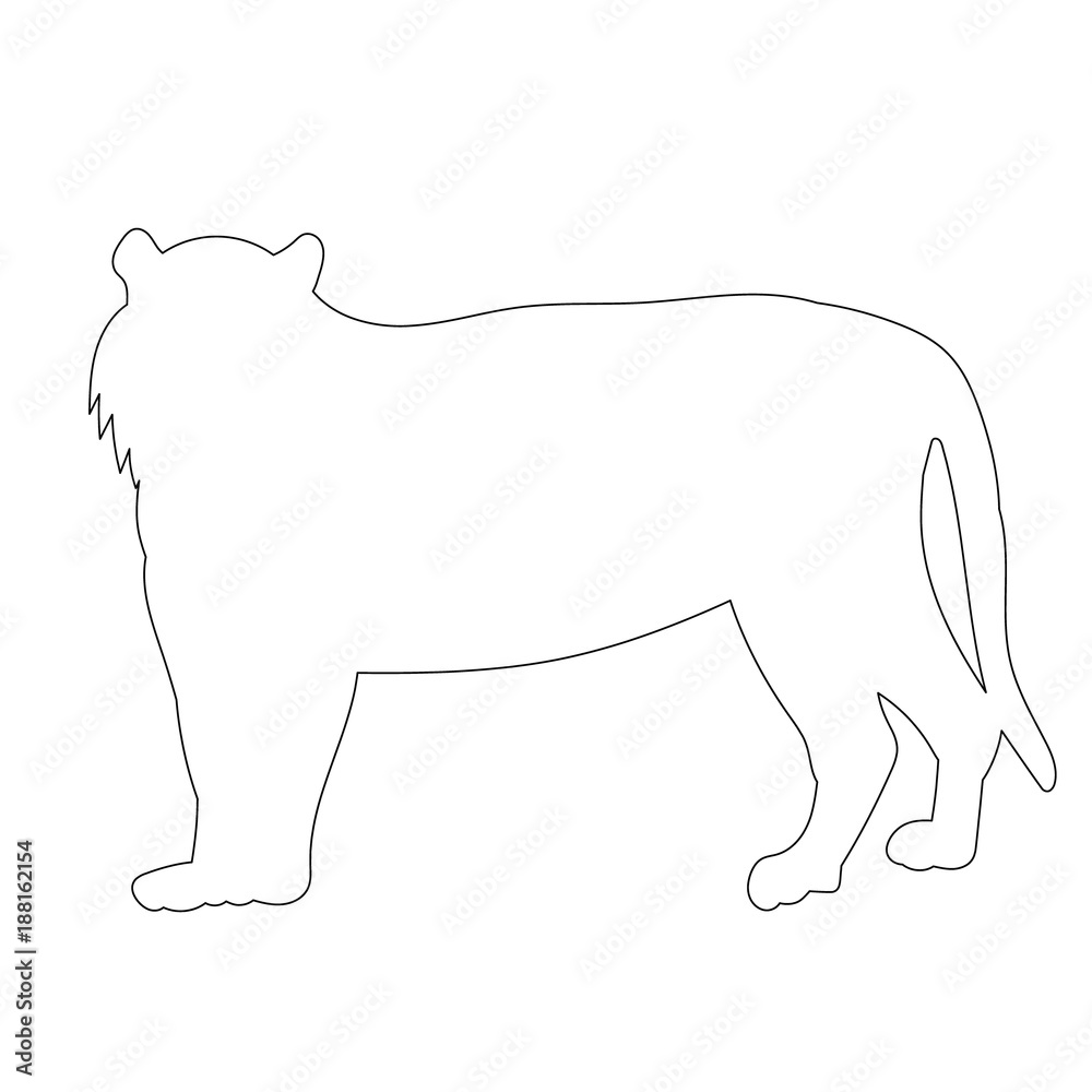 isolated, outline of a tiger stands on a white background