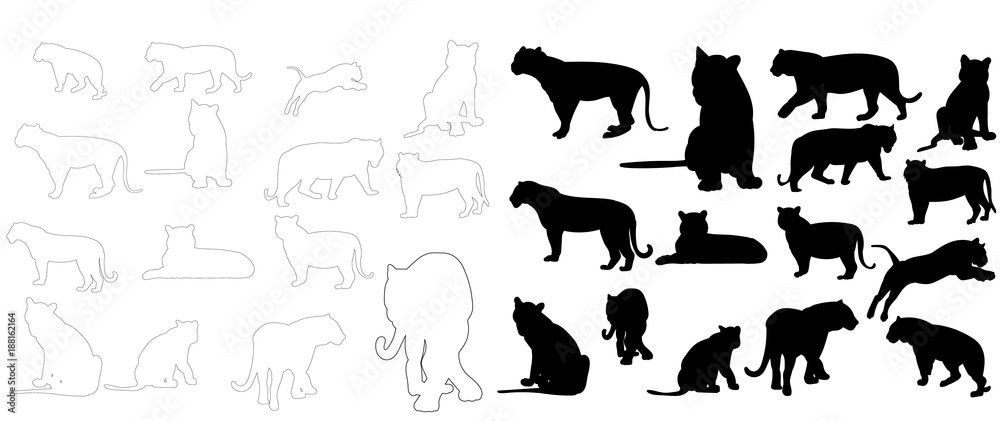 isolated sketch of a tiger, silhouette of a tiger, collection isolated sketch of a tiger, silhouette of a tiger, collection