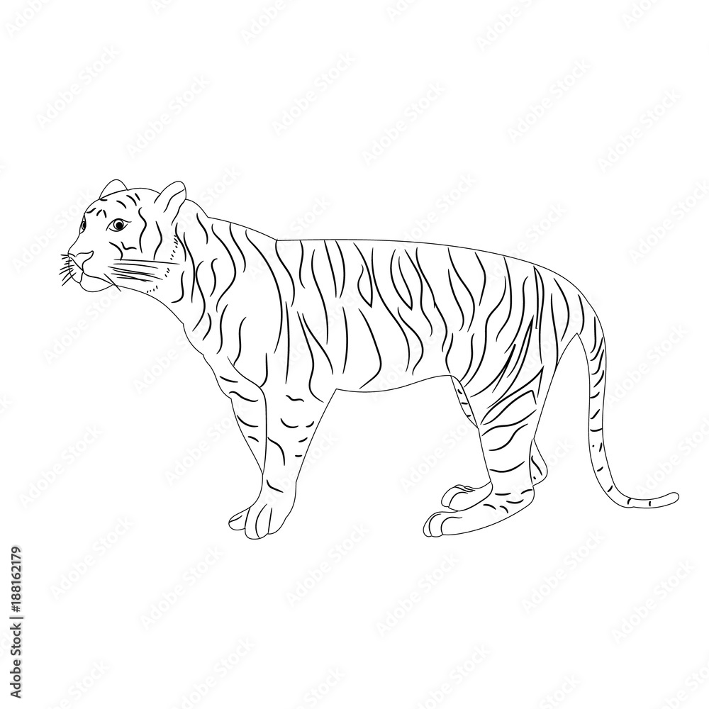 Naklejka premium vector, isolated sketch of a tiger is standing