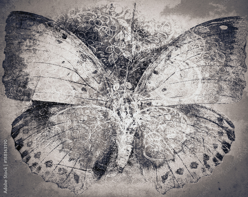 grunge butterfly background texture - obrazy, fototapety, plakaty 