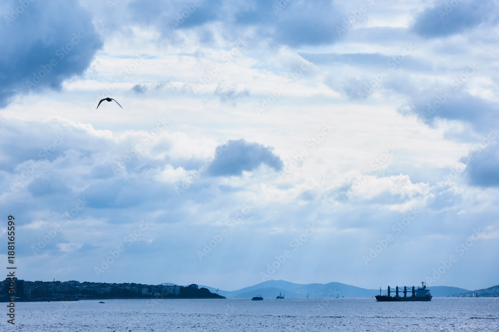 Fototapeta premium Cargo ship passing through Istanbul sea.
