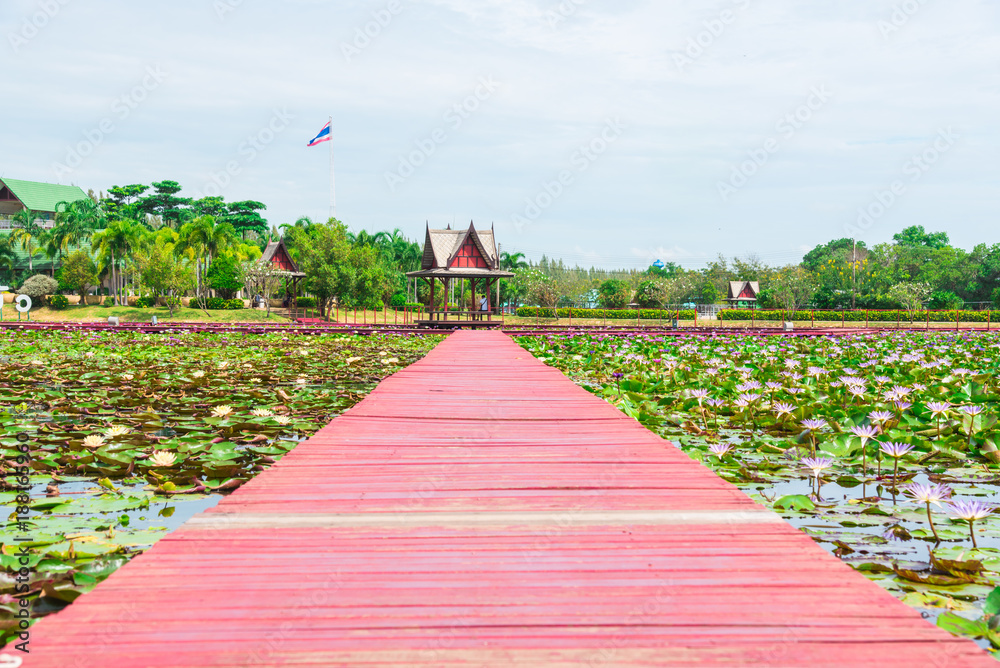 Obraz premium Amazing Park in Chiang Khruea,Lotus Park at Sakon Nakhon, Thailand(Thai text that appears in an image. translations is Lotus park )