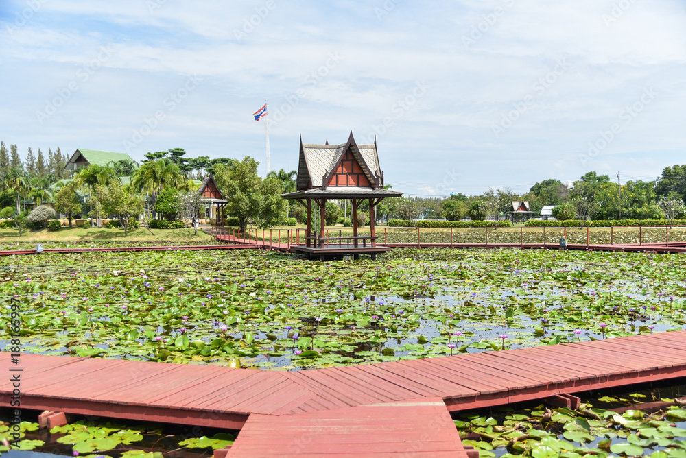 Fototapeta premium Amazing Park in Chiang Khruea,Lotus Park at Sakon Nakhon, Thailand(Thai text that appears in an image. translations is Lotus park )