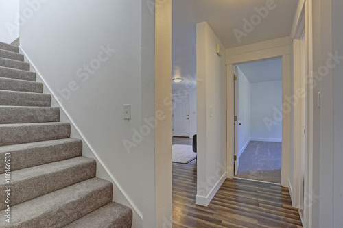 Image of a White hallway with a staircase © Javani LLC