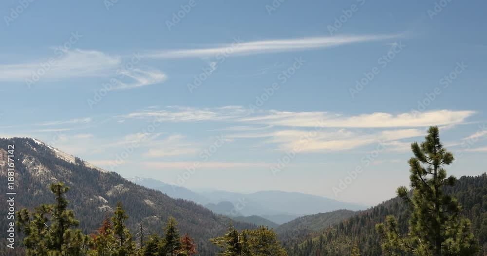 Trees and mist in the green forest of Stanislaus National Forest in the Sierra Nevada Mountains from Yosemite National Park Trees and mist in the green forest of Stanislaus National Forest in the Sierra Nevada Mountains from Yosemite National Park