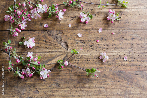 pink spring flowers on old wooden background