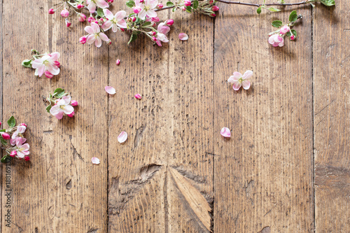 Fototapeta Naklejka Na Ścianę i Meble -  pink spring flowers on old wooden background