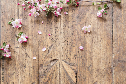 pink spring flowers on old wooden background photo