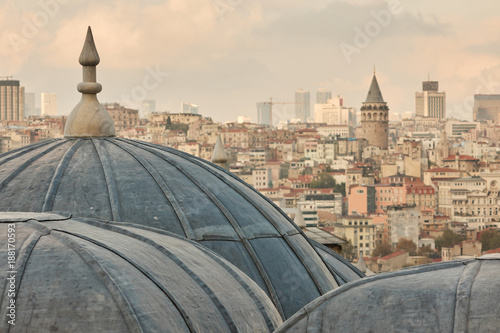 View of dome of the mosque, Istanbul, Turkey