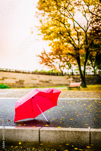 Fototapeta Naklejka Na Ścianę i Meble -  Red umbrella on concrete floor with raining in the park., vintage image., lonely concept. copy space for text