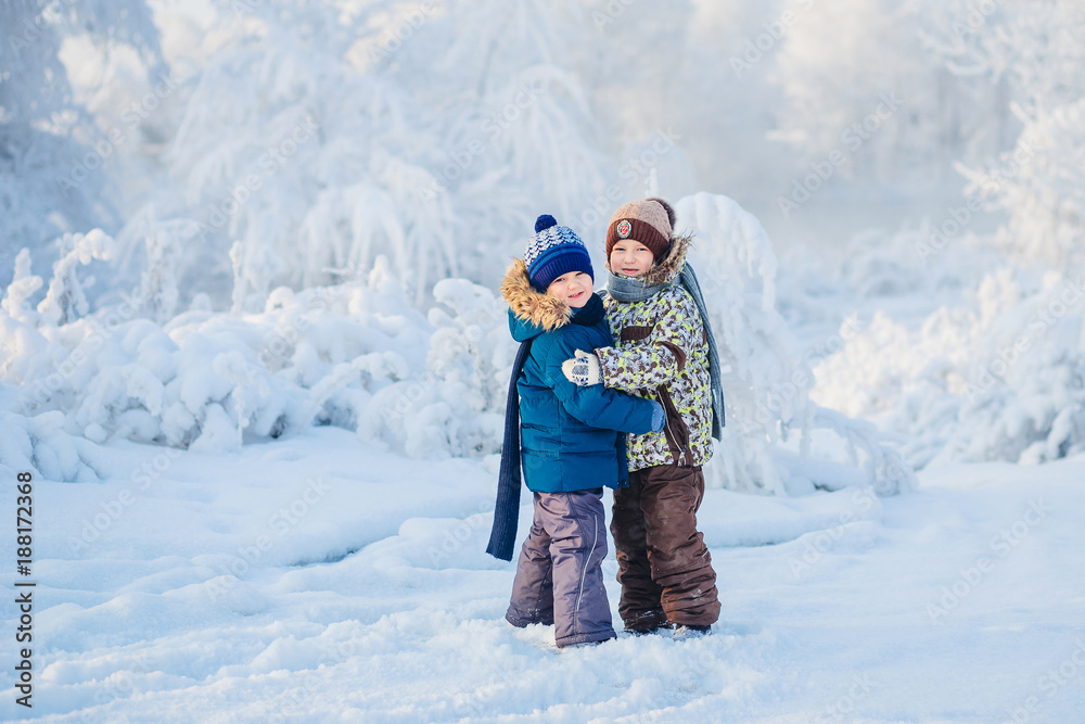 two boys playing in a winter forest, the brothers