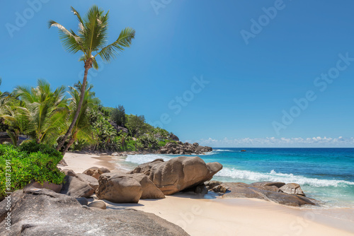 Seychelles paradise beach. Beautiful beach with palm trees and sea wave. Summer vacation travel holiday background concept. 
