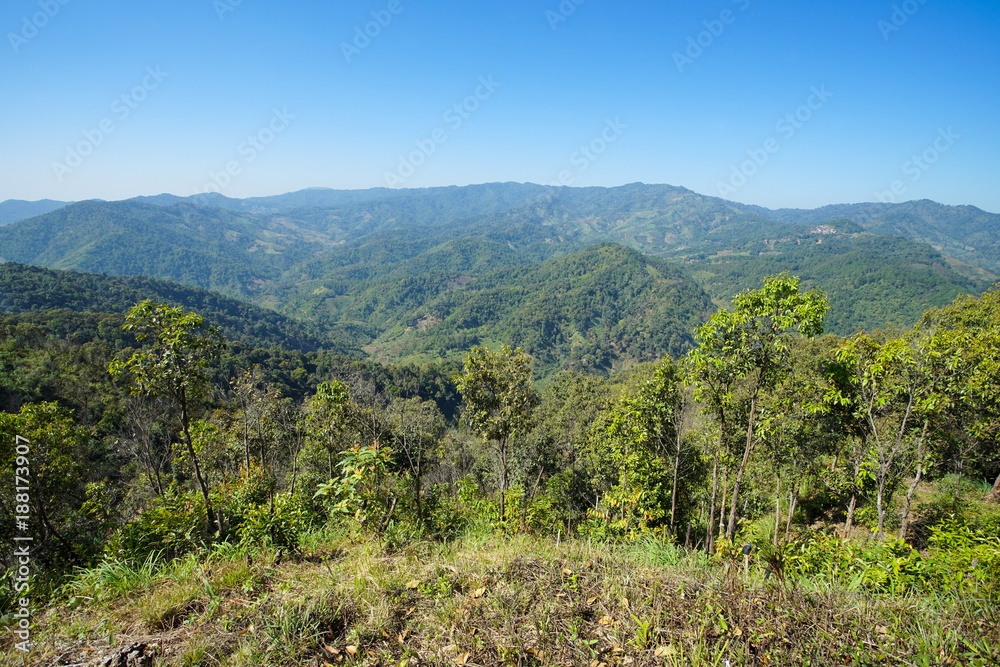 Nature view mountain, forest and blue sky