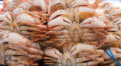 Photography crabes en stock