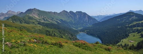 Lake Arnensee and green meadow. Summer scene near Gstaad, Switzerland.