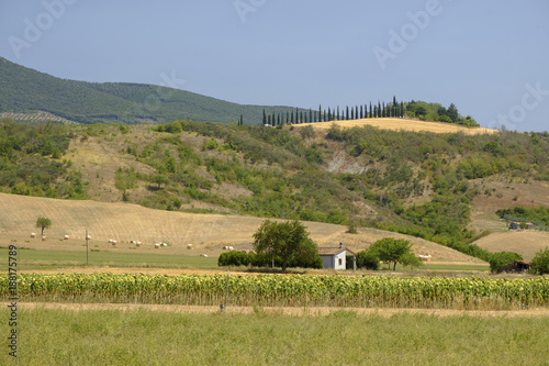 Rural landscape in val Teverina (Umbria, Italy) photo