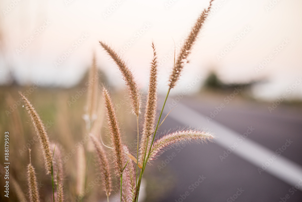 take me home country road take me home country road