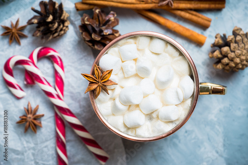Hot chocolate with marshmallows, cinnamon and anise, served with christmas decoration. Selective focus.