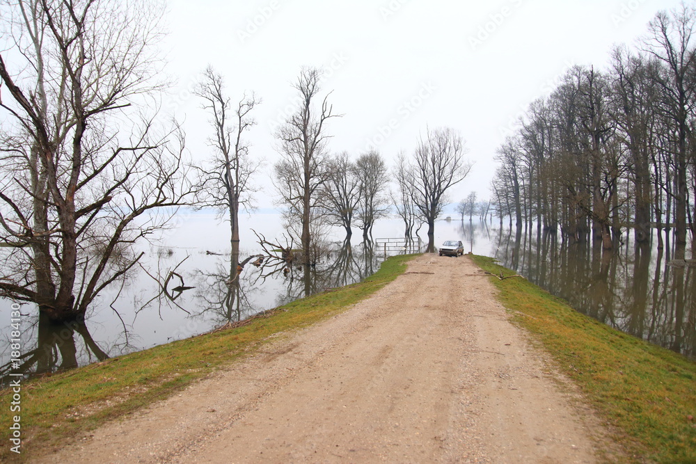 Flooded road and forest