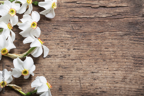 Fototapeta Naklejka Na Ścianę i Meble -  narcissus on wooden background