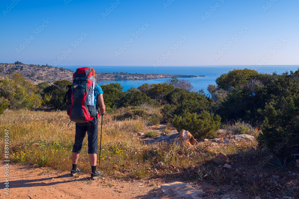 Traveler with a backpack stands on a country road by the sea