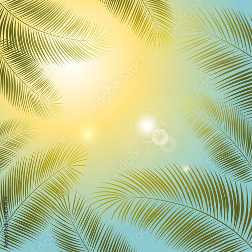 Tropical background. Leaves. Palms. Sun. Exotic plants.