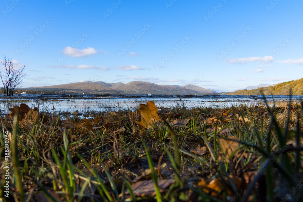 Low perspective Loch Lomond landscape