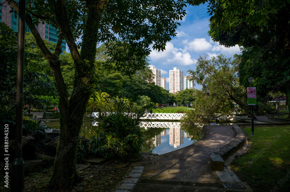 Shady pond view at Toa Payoh public park